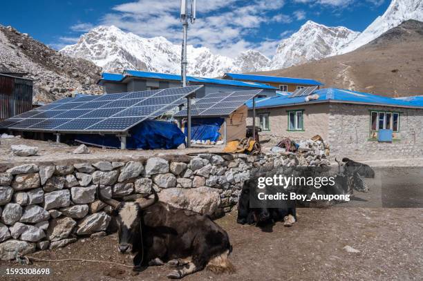 an environment view in gorak shep village (5,164 metres) the last village before reach to everest base camp in nepal. - convertible top stock pictures, royalty-free photos & images