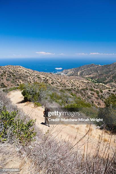 hikers trek the hermit gulch trail - the avalon hollywood 個照片及圖片檔