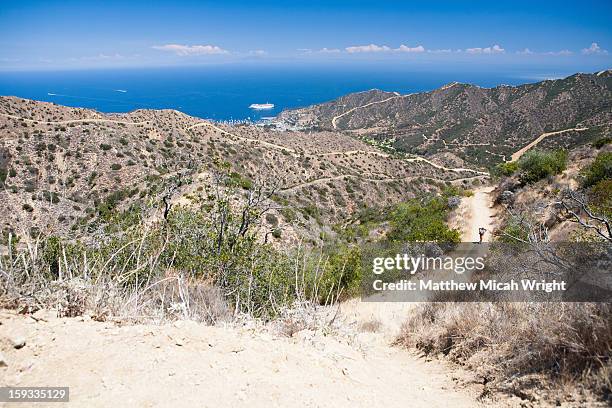 hikers trek the hermit gulch trail - insel catalina island stock-fotos und bilder