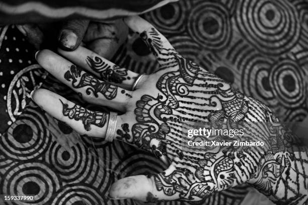 Pali Marwar Photos And Premium High Res Pictures Getty Images pali-marwar-photos-and-premium-high-res-pictures-getty-images
