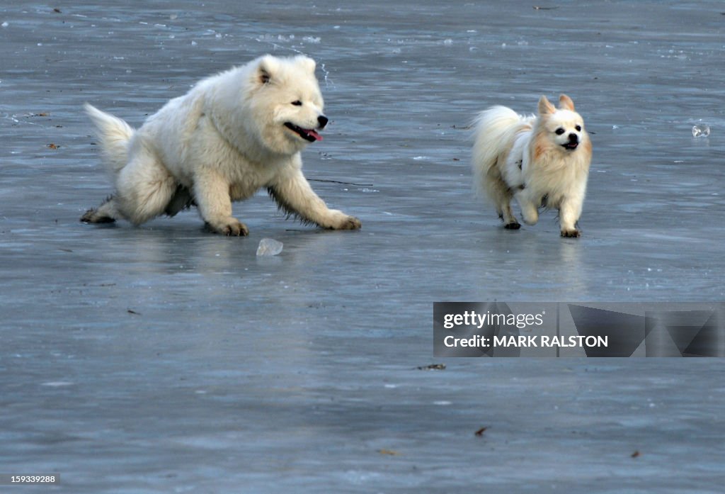 CHINA-LIFESTYLE-ANIMALS