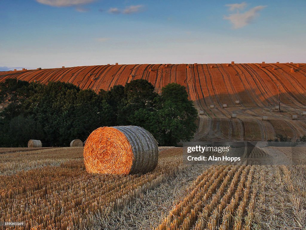 Straw bales in golden evening light