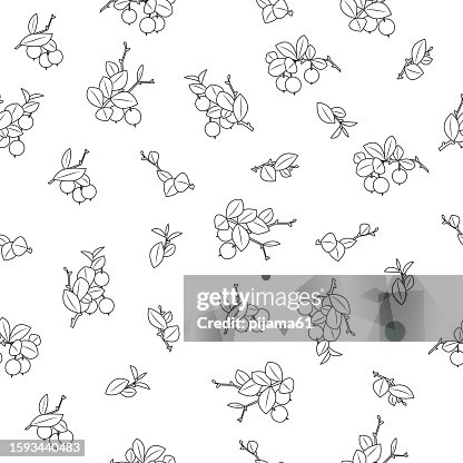 Seamless vector Blueberry pattern. Abstract leaves and branches Seamless vector Blueberry pattern. Abstract leaves and branches