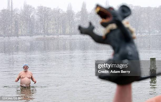 An ice swimming enthusiast wades in the cold waters of Orankesee lake as another waves a toy evil rat in the air during the 'Winter Swimming in...