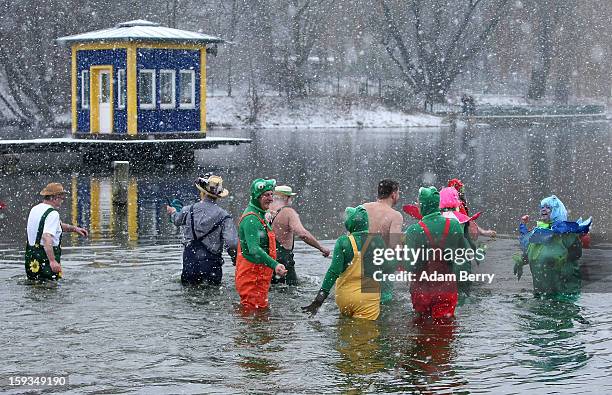 Ice swimming enthusiasts wade in the cold waters of Orankesee lake during the 'Winter Swimming in Berlin' event on January 12, 2013 in Berlin,...