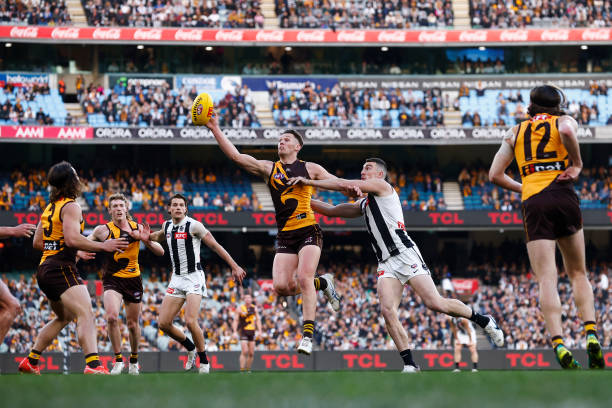 Jacob Koschitzke of the Hawks and Daniel McStay of the Magpies contest the ruck during the round 21 AFL match between Hawthorn Hawks and Collingwood...