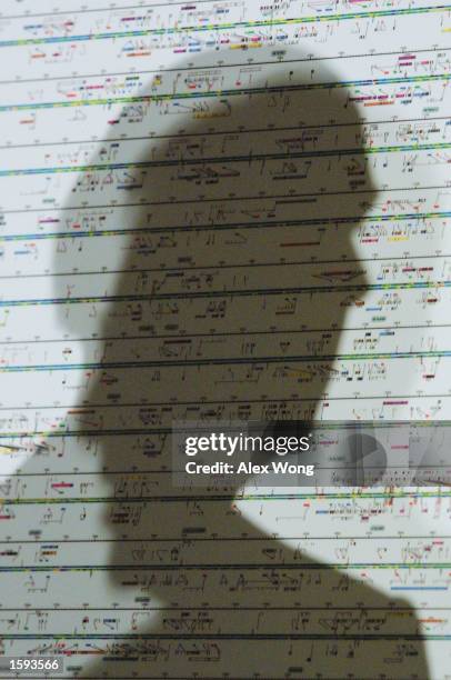 Two shadows of human being are casted on a diagram of the sequence of human genome February 12, 2001 in Washington, D. C. During a press conference...