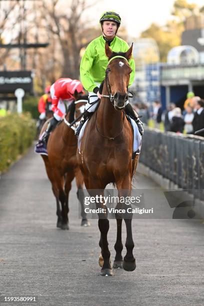 Jye McNeil riding Berkeley Square after unplaced finish in Race 9, the Vrc Member Dennis Foley Sprint during Melbourne Racing at Flemington...