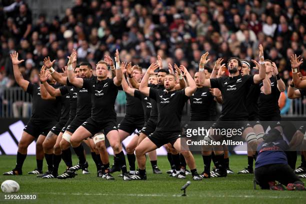 New Zealand perform a haka during The Rugby Championship & Bledisloe Cup match between the New Zealand All Blacks and the Australia Wallabies at...