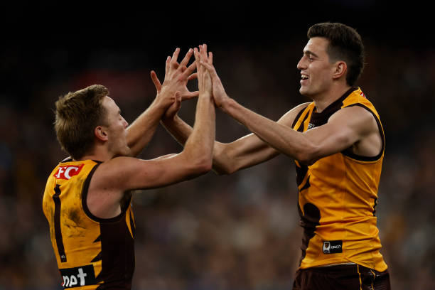 Brandon Ryan of the Hawks celebrates with Harry Morrison of the Hawks after kicking a goal during the round 21 AFL match between Hawthorn Hawks and...