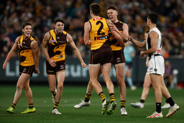 Mitch Lewis of the Hawks celebrates kicking a goal during the round 21 AFL match between Hawthorn Hawks and Collingwood Magpies at Melbourne Cricket...