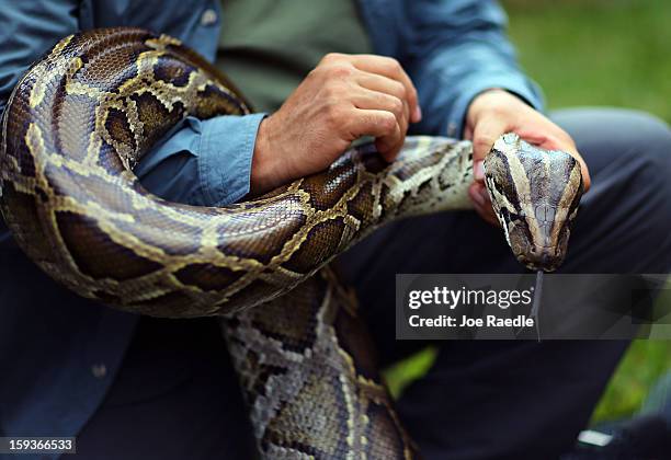 Burmese python is held by Jeff Fobb as he speaks to the media at the registration event and press conference for the start of the 2013 Python...