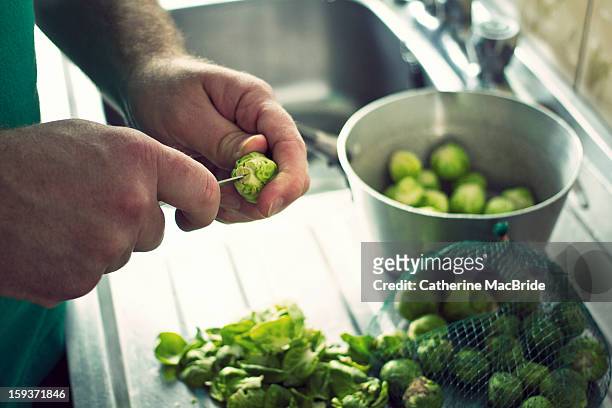 preparing brussels sprouts - catherine macbride stock pictures, royalty-free photos & images