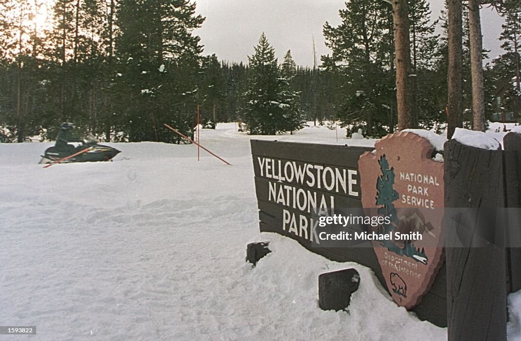 Snowmobiles in Yellowstone