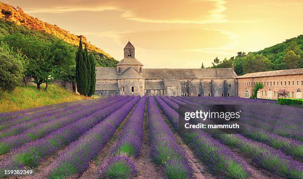 abbey mit blühender lavendel-feld in der dämmerung - languedoc rousillon stock-fotos und bilder