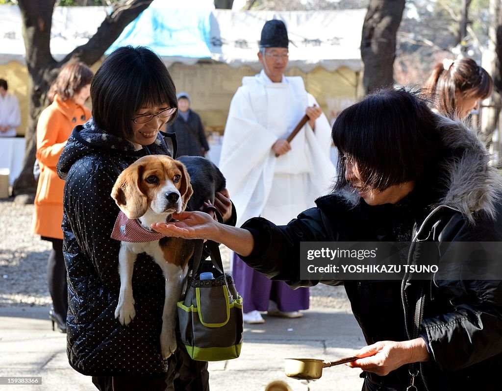 JAPAN-ANIMAL-NEW YEAR-SHRINE