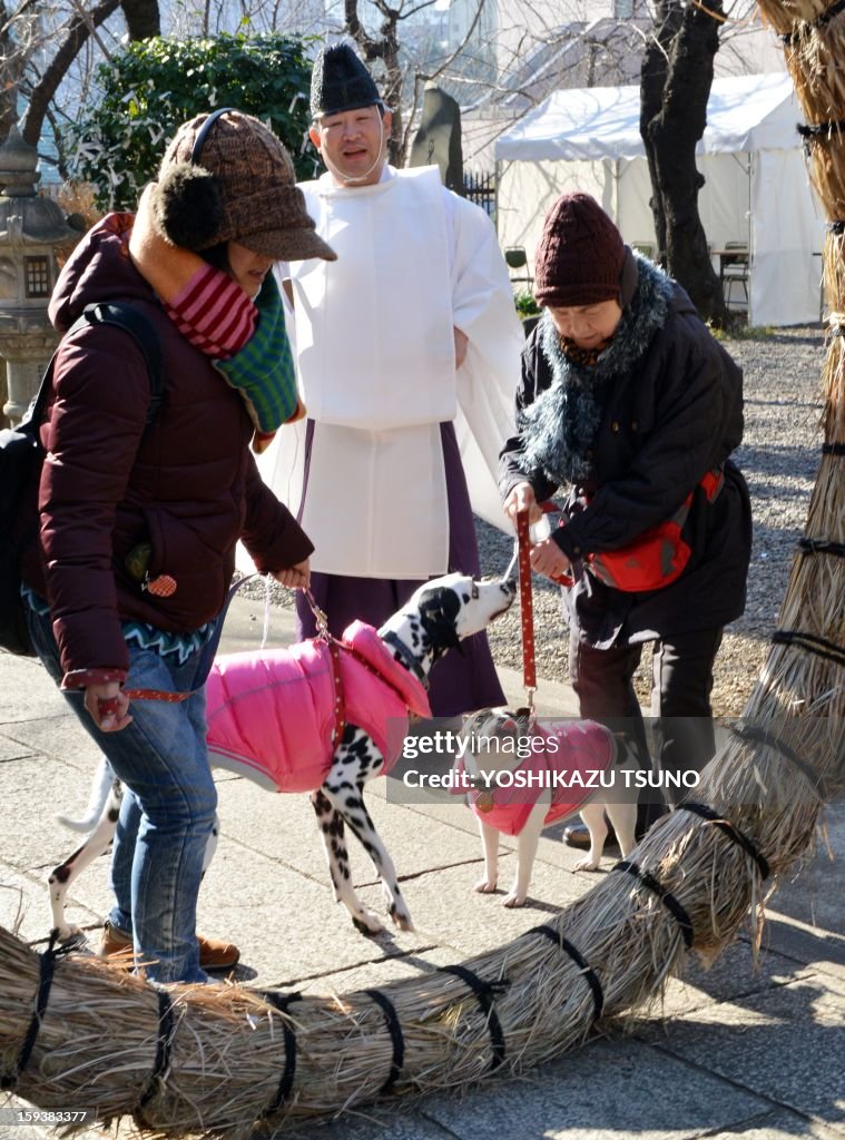 JAPAN-ANIMAL-NEW YEAR-SHRINE