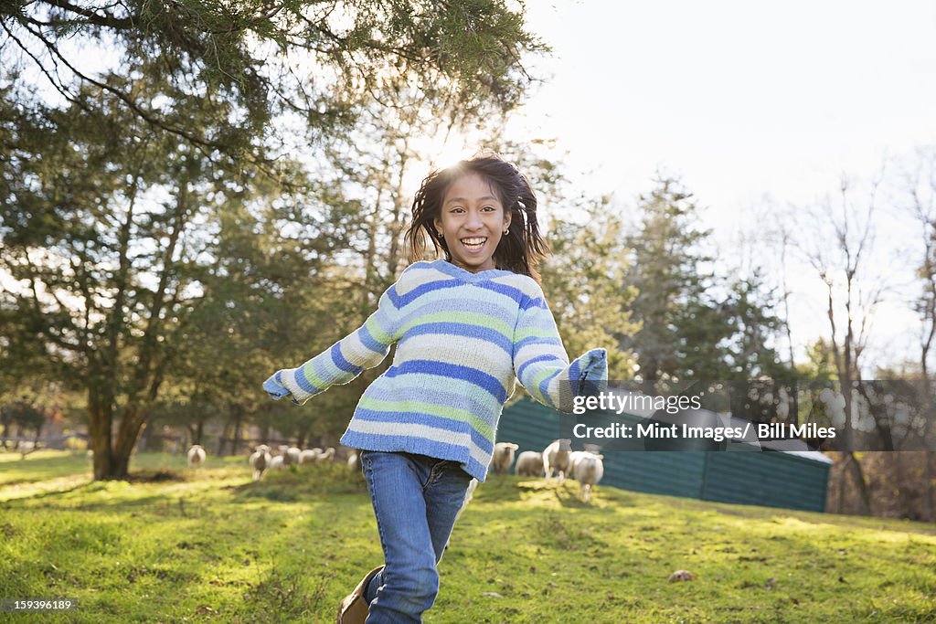 A young girl in a  blue stripy top running in a field of sheep at an animal sanctuary.