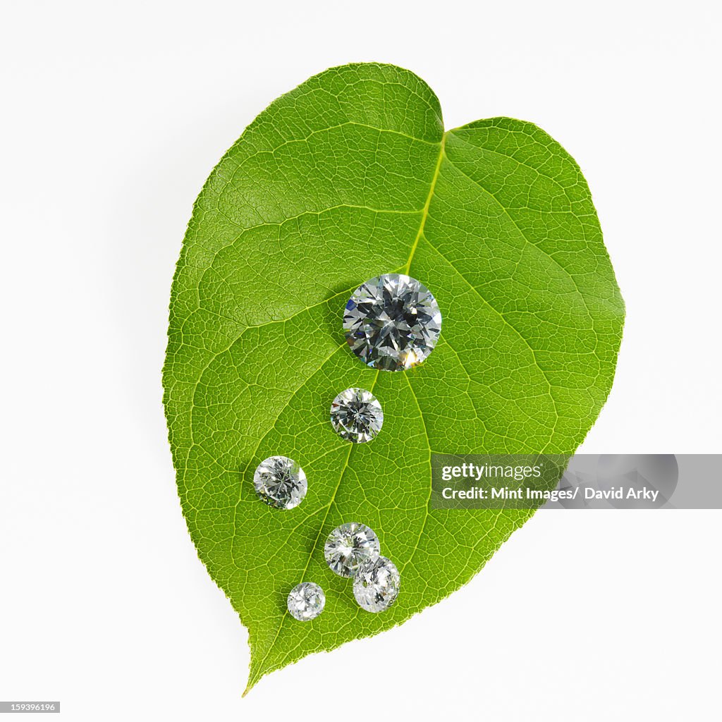Still life. Green leaf foliage and decorations. A leaf with vein pattern with small glass reflective objects, or gems, gem cut sparkling. 