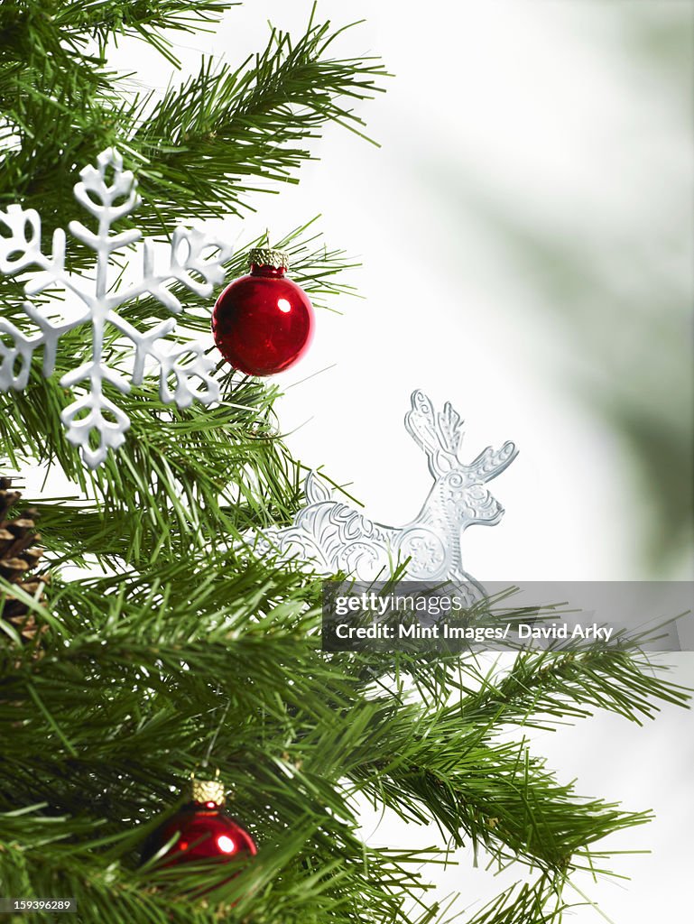 Still life. Green leaf foliage and decorations. A pine tree branch with green needles. Christmas decorations. Two red baubles, and two icicle shaped ornaments. 