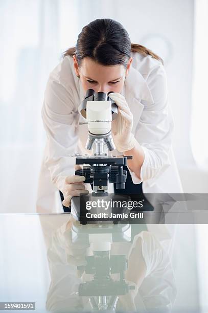 scientist looking into microscope - lamela - fotografias e filmes do acervo