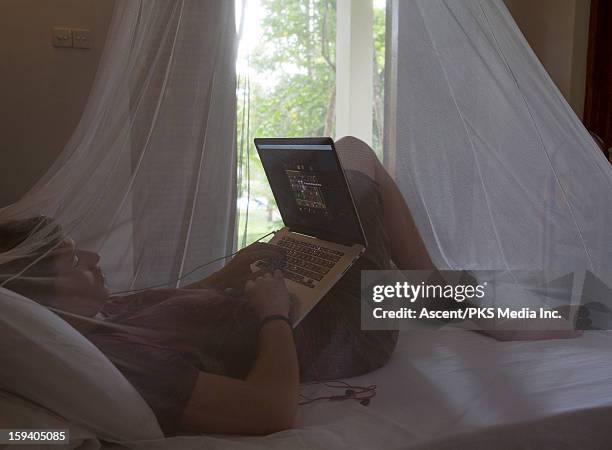 young man plays computer game, mosquito net canopy - moustiquaire photos et images de collection