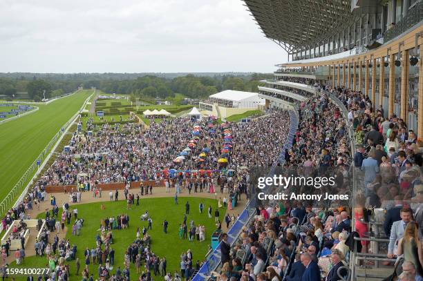 The Dubai Duty Free Shergar Cup at Ascot Racecourse on August 12, 2023 in Ascot, England.