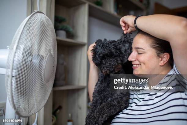 woman having fun with fan with her poodle dog - dog heatwave stock pictures, royalty-free photos & images