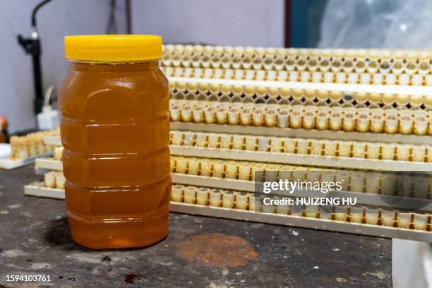 collecting royal jelly fresh from farms - royal jelly stock pictures, royalty-free photos & images