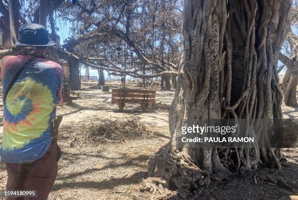 Anthony C. Garcia stands among the charred historic Banyan tree in the aftermath of a wildfire in Lahaina, western Maui, Hawaii, on August 12, 2023....