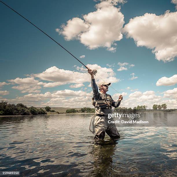 man flycasting on big horn river. - fly fishing stock-fotos und bilder