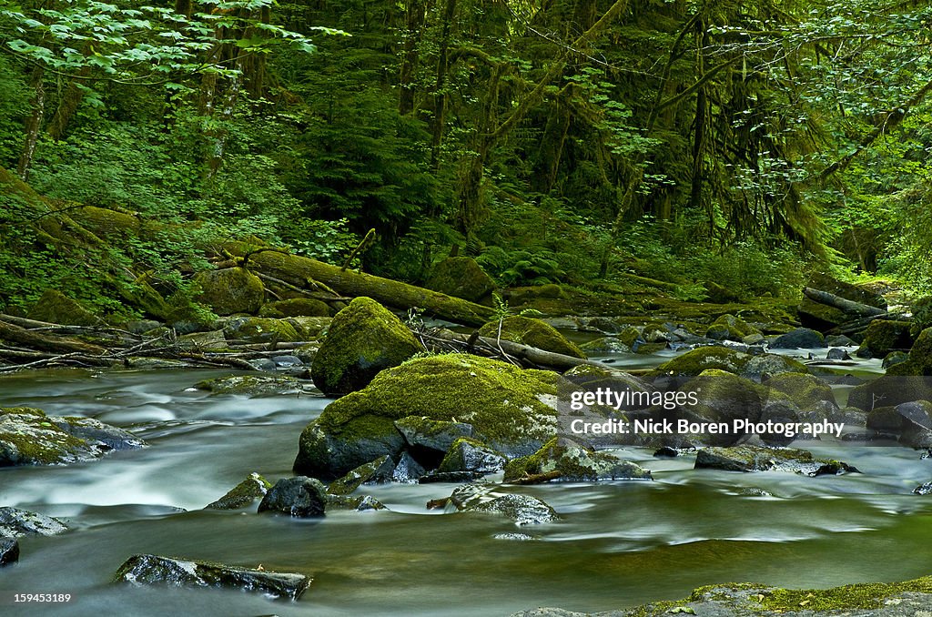Alsea River Landscape
