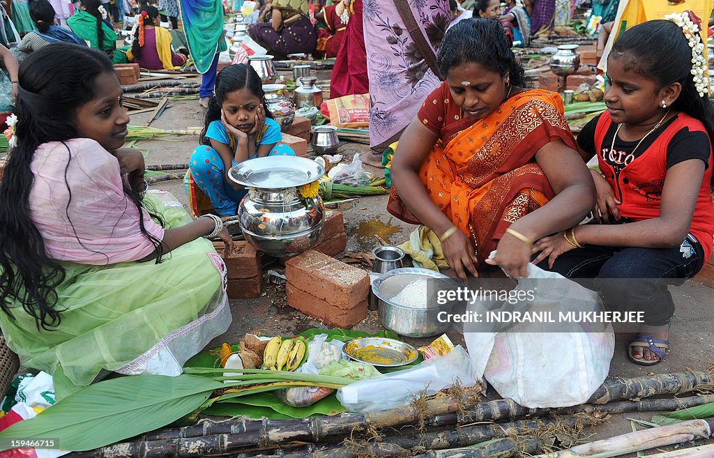 INDIA-RELIGION-FESTIVAL-PONGAL