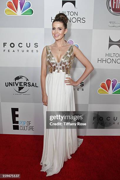 Carly Steel attends the NBC/Universal/Focus Features/E! Networks Golden Globe Awards Celebration Designed And Produced By Angel City Designs at The...