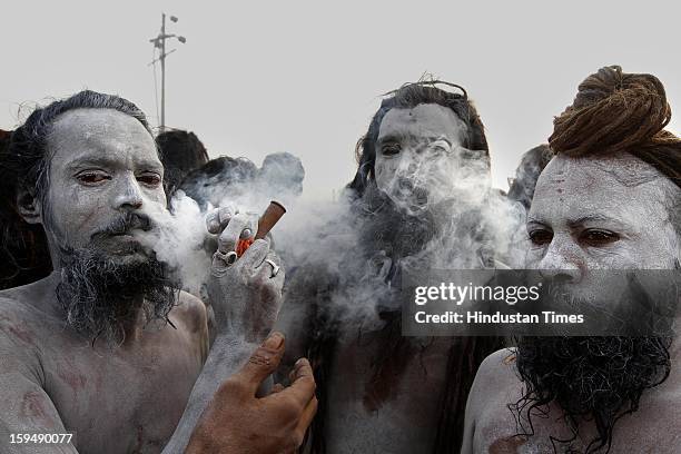 Ash smeared Naga Sadhus smoking through chillums before taking Shahi Snan at the bank of Sangam confluence of river Ganga, Yamnuna and mythical...