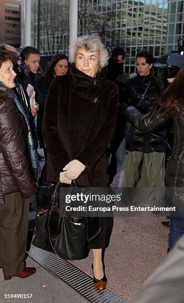 Cristina Pena attends court on January 14, 2013 in Madrid, Spain. The bullfighter Francisco Rivera and ex wife Duchess of Montoro Eugenia Martinez de...