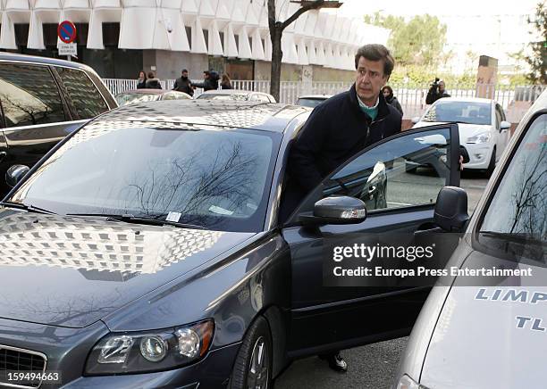 Cayetano Martinez de Irujo leaves court on January 14, 2013 in Madrid, Spain. The bullfighter Francisco Rivera and ex wife Duchess of Montoro Eugenia...