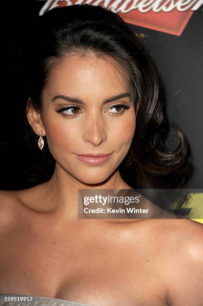 Actress Genesis Rodriguez arrives at the premiere of Lionsgate Films' "The Last Stand" at Grauman's Chinese Theatre on January 14, 2013 in Hollywood,...