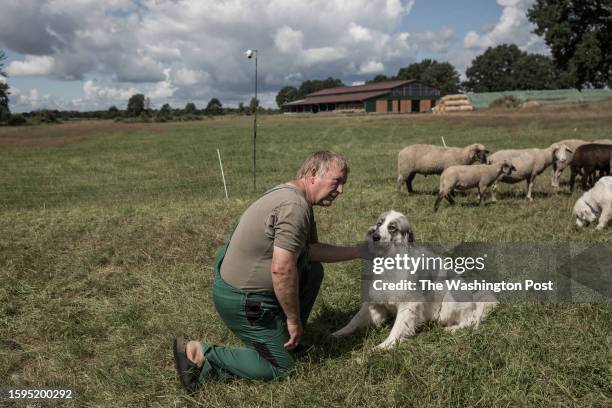 Shepherd Gerd Jahnke has a problem with wolves attacking his sheep. He uses surveillance cameras to monitor sheep and if wolves attack them. The...