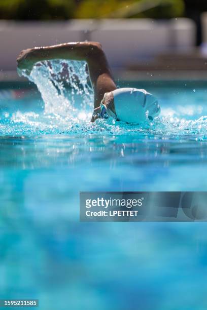 natación - torneo de natación fotografías e imágenes de stock