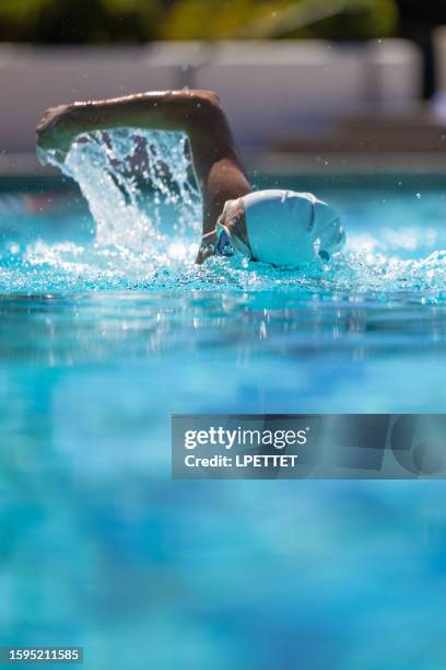 swimming - swim race stock pictures, royalty-free photos & images