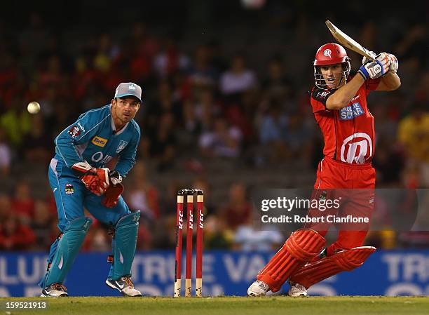 William Sheridan of the Renegades bats during the Big Bash League Semi-Final match between the Melbourne Renegades and the Brisbane Heat at Etihad...