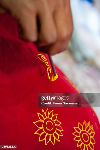 the rogan art! - hema narayanan stock pictures, royalty-free photos & images
