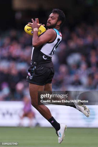 Wili Rioli Willie Rioli Photos and Premium High Res Pictures - Getty Images