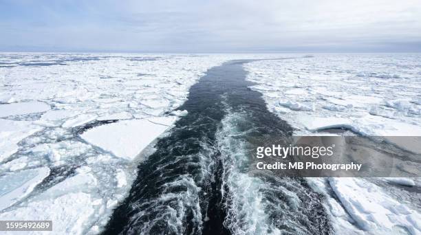 sea ice breaking - ice breaking stock pictures, royalty-free photos & images
