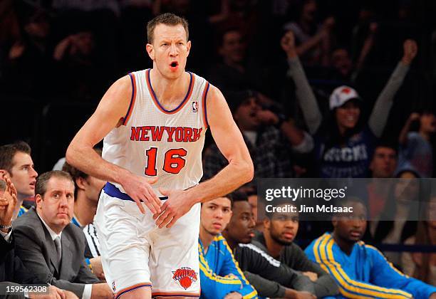 Steve Novak of the New York Knicks celebrates after hitting a three point shot against the New Orleans Hornets at Madison Square Garden on January...