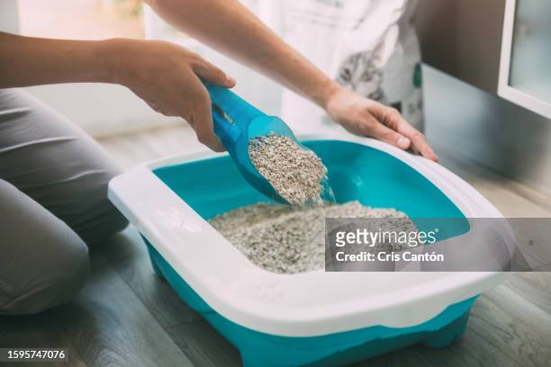 woman cleaning cat litter box - litter stock pictures, royalty-free photos & images