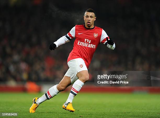 Francis Coquelin of Arsenal during the FA Cup Third Round Replay match between Arsenal and Swansea City at the Emirates Stadium on January 16, 2013...