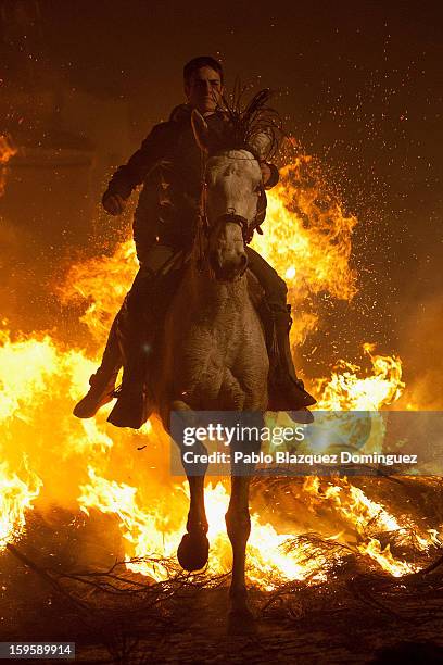 Man rides a horse through a bonfire on January 16, 2013 in San Bartolome de Pinares, Spain. In honor of San Anton, the patron saint of animals,...