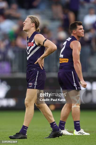 Hayden Young and Jaeger O'Meara of the Dockers react after being defeated during the round 21 AFL match between Fremantle Dockers and Brisbane Lions...